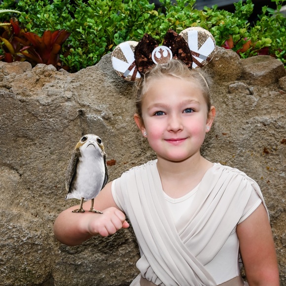 Star Wars Rey Mickey Mouse Ears - Picture 9 of 12